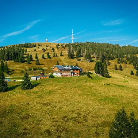 Berggasthof Zur Todtnauer Huette