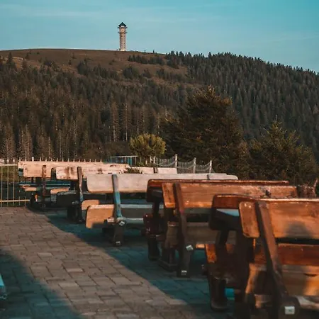 Berggasthof Zur Todtnauer Huette 3*