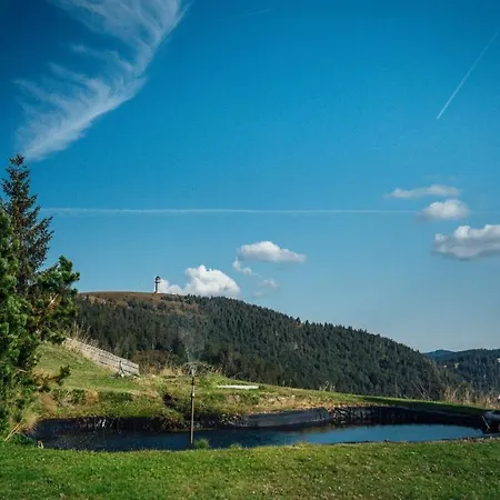 Berggasthof Zur Todtnauer Huette 3*