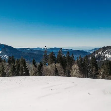 Inn Berggasthof Zur Todtnauer Huette Feldberg (Baden-Wurttemberg)