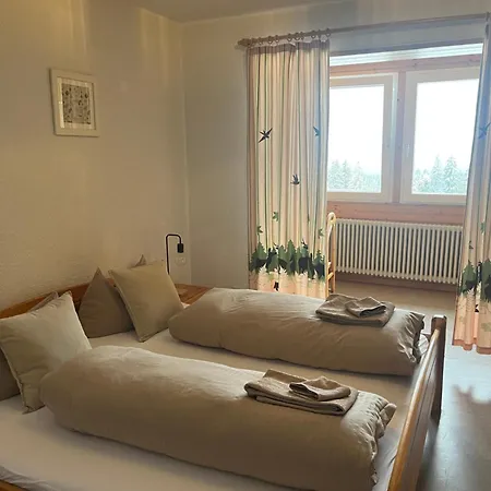 Inn Berggasthof Zur Todtnauer Huette