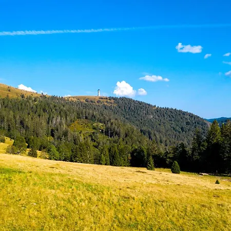 Berggasthof Zur Todtnauer Huette Kro Feldberg (Baden-Wurttemberg)
